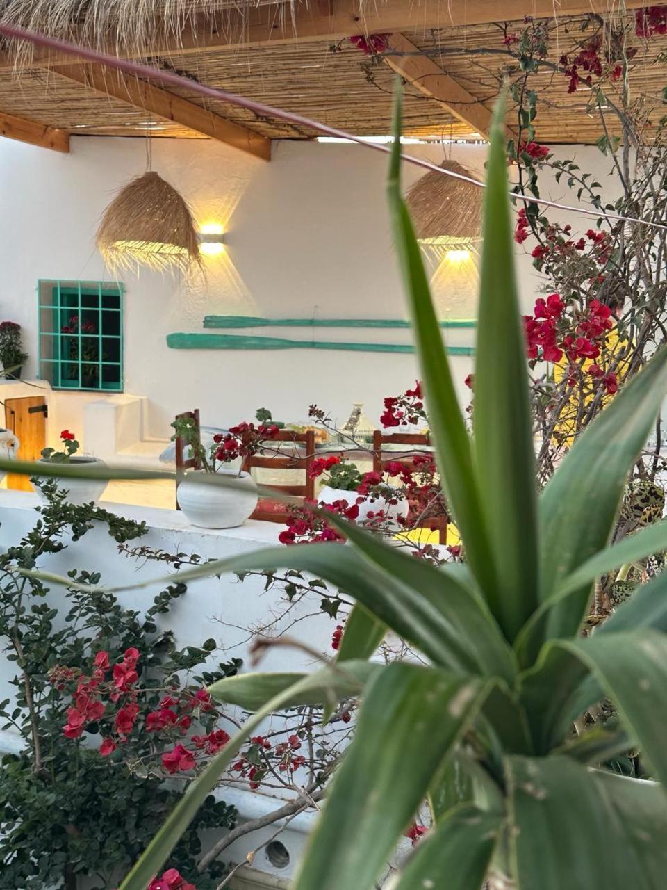 Dar El Mahdia By Daldoul Bed & Breakfast Bagian luar foto